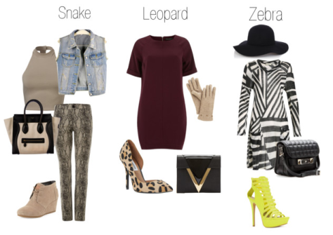 Animal Print Collage on Polyvore - Click for Item Information